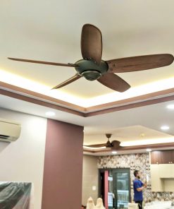 Rose ceiling fan no light